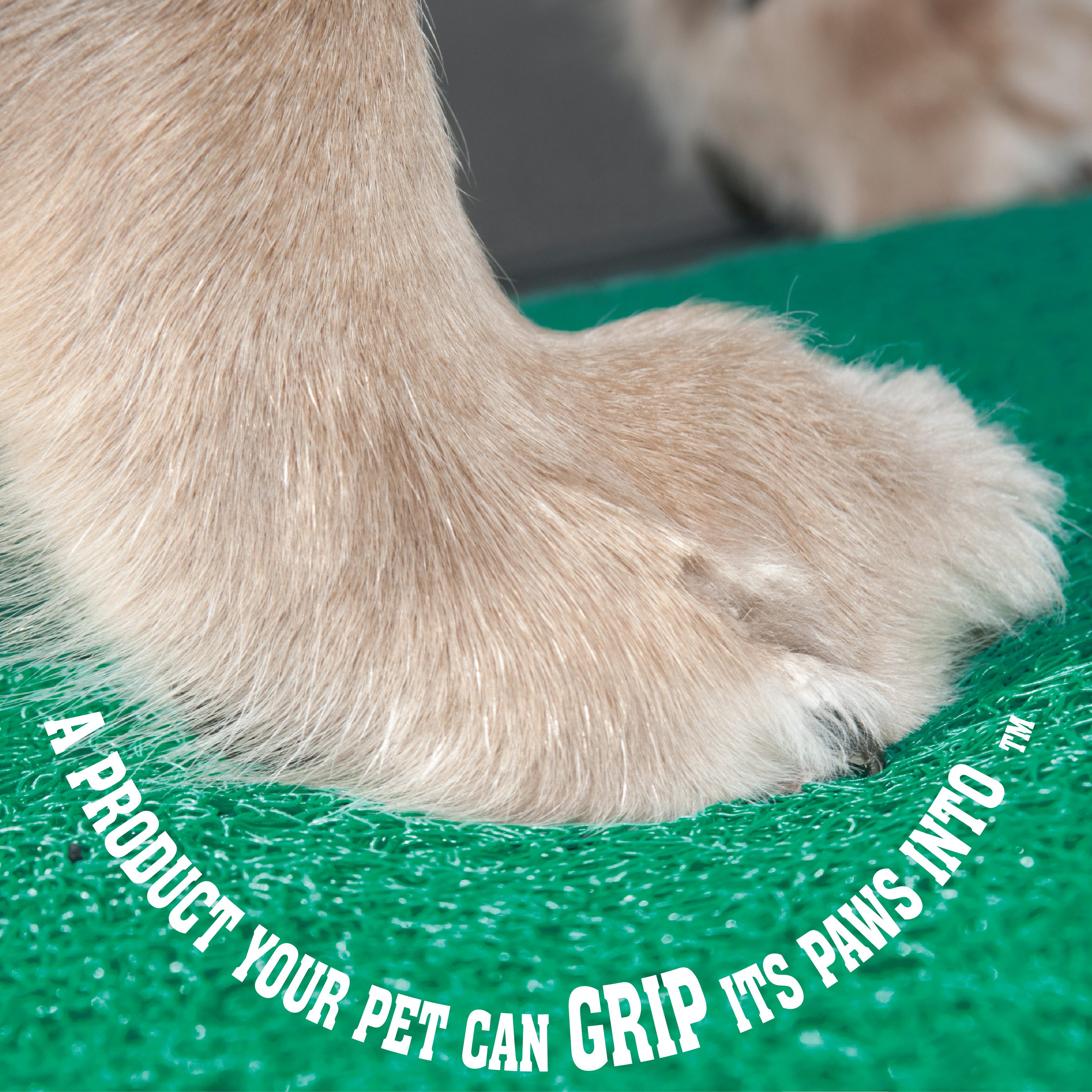 SupertraX – A product your pet can GRIP 